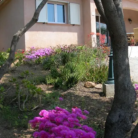 Arco Casa de Férias Olmeto (Corsica)