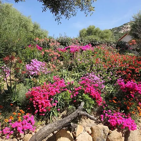 Tatil Evi Arco