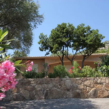 Arco * Olmeto (Corsica)