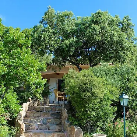 Arco