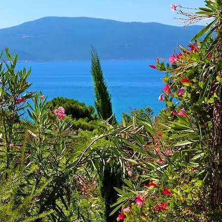 Arco Plage Ferienhaus Olmeto (Corsica)