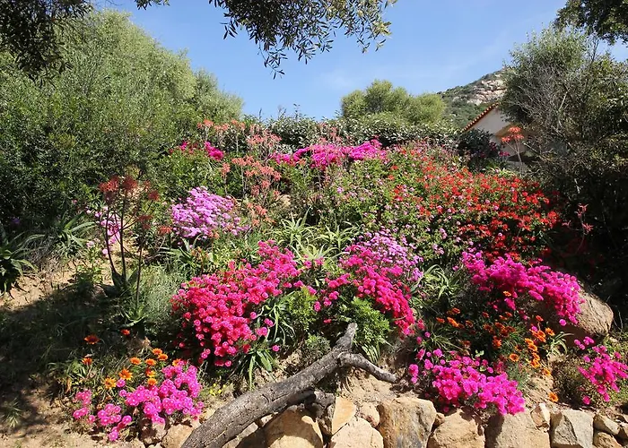 Prázdninový dům Arco