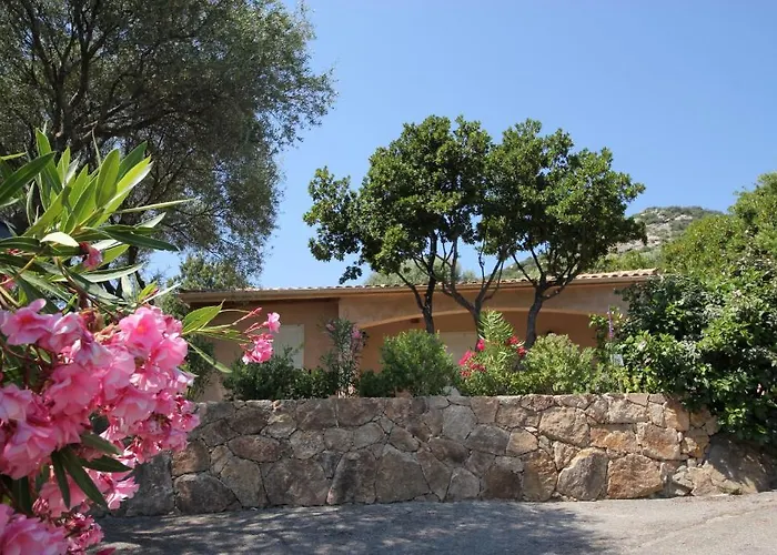 Arco * Olmeto (Corsica)