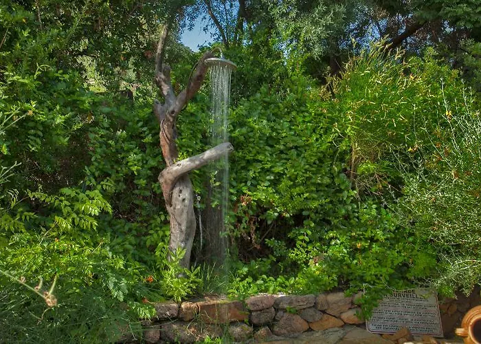 Arco * Olmeto (Corsica)