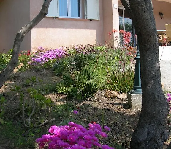 Arco Prázdninový dům Olmeto (Corsica)