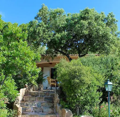 Arco